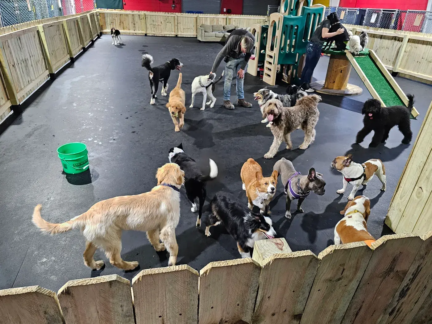 Bones and Belly Rubs